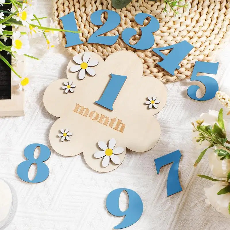 Wooden Monthly Milestone Cards - Monthly Numbers for Newborn and Baby Growth Keepsake Photos