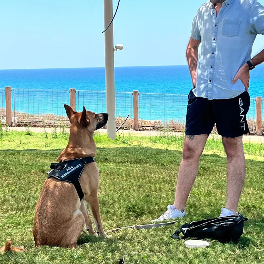 Reflective Anti-Pull Dog Harness with Customizable ID Patch - Breathable and Adjustable